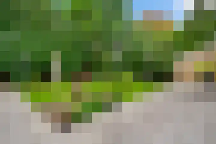 Nachtegaalstraat 14 Berg en Terblijt thumbnail 4