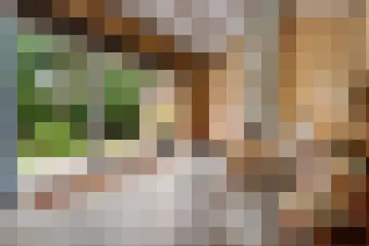 Nachtegaalstraat 14 Berg en Terblijt thumbnail 6