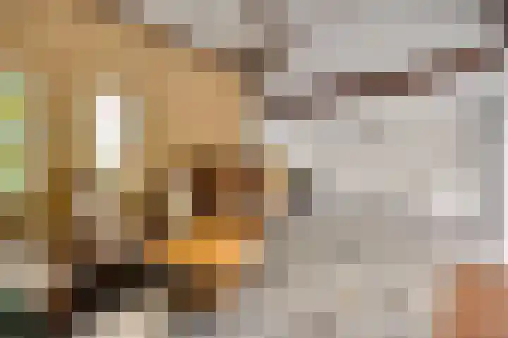 Nachtegaalstraat 14 Berg en Terblijt thumbnail 7