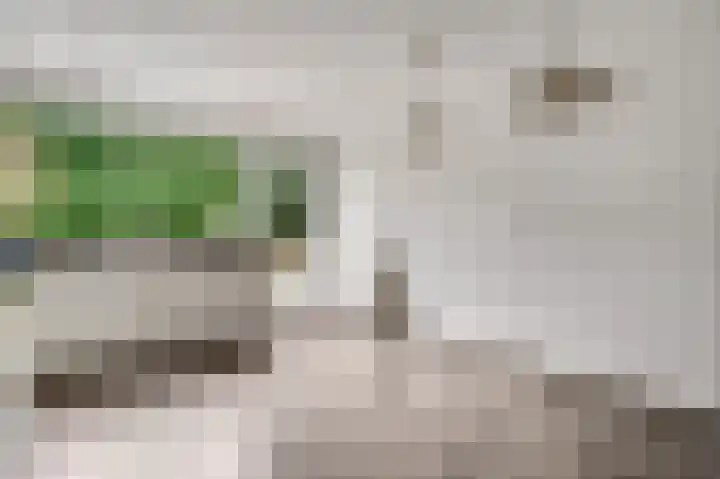 Nachtegaalstraat 14 Berg en Terblijt thumbnail 8