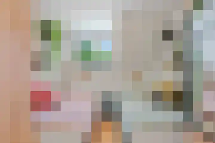 Nachtegaalstraat 14 Geleen thumbnail 21