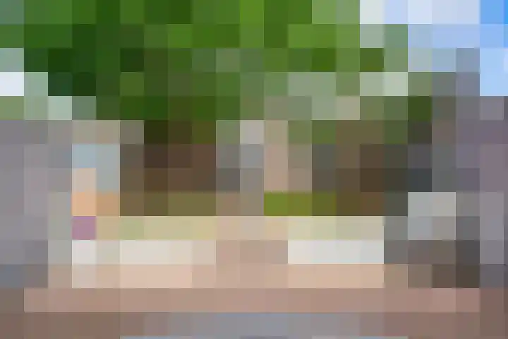 Nachtegaalstraat 14 Geleen thumbnail 5