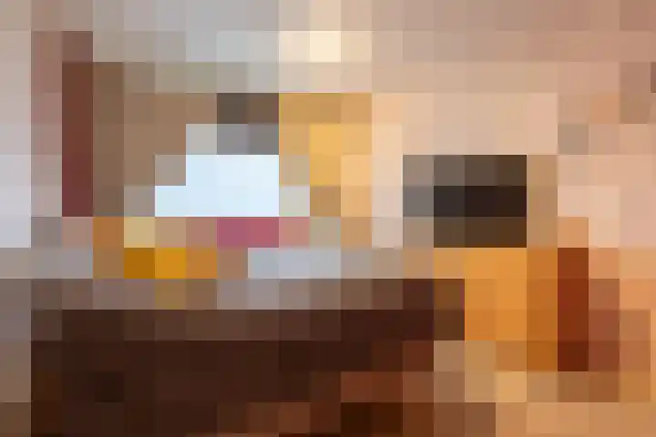 Nachtegaalstraat 14 Heerlen thumbnail 12