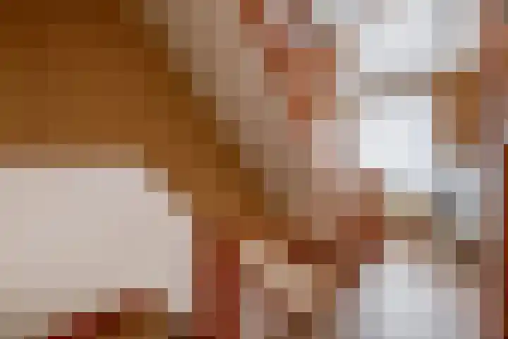 Nachtegaalstraat 14 Tegelen thumbnail 10