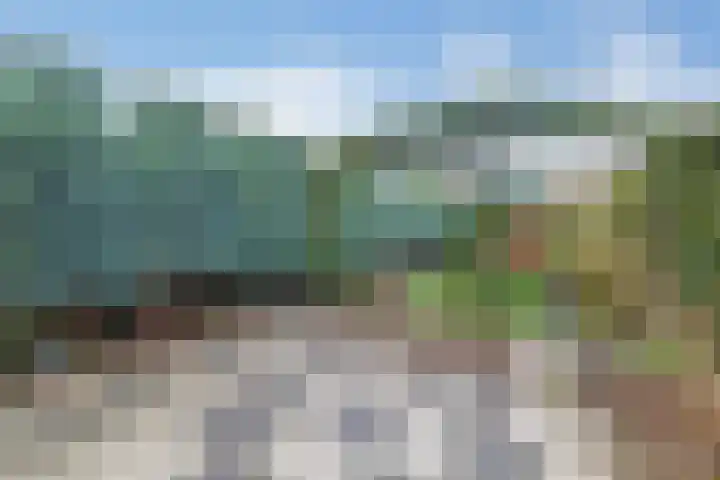 Nachtegaalstraat 14 Tegelen thumbnail 16