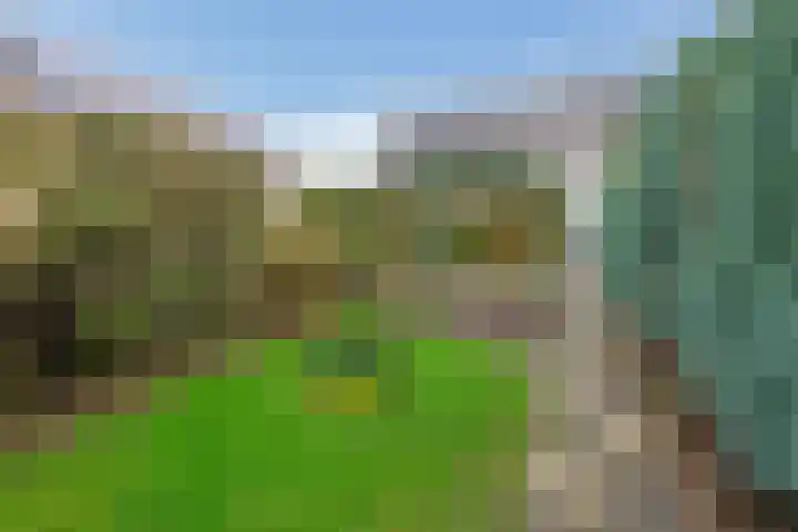 Nachtegaalstraat 14 Tegelen thumbnail 17