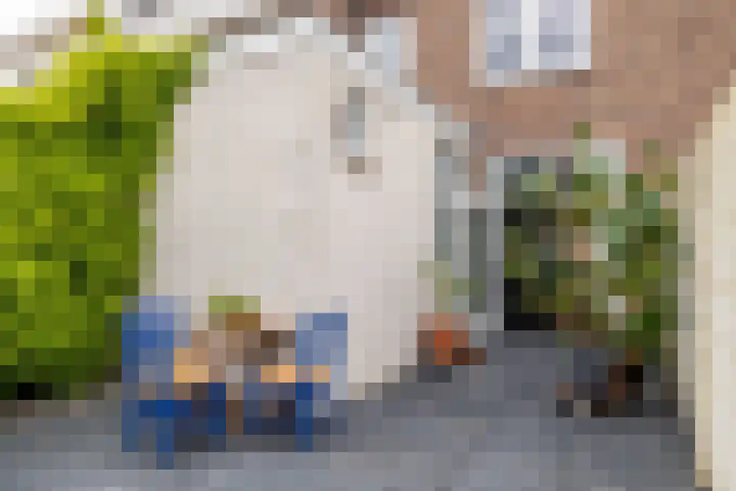 Nachtegaalstraat 15 Breda thumbnail 36