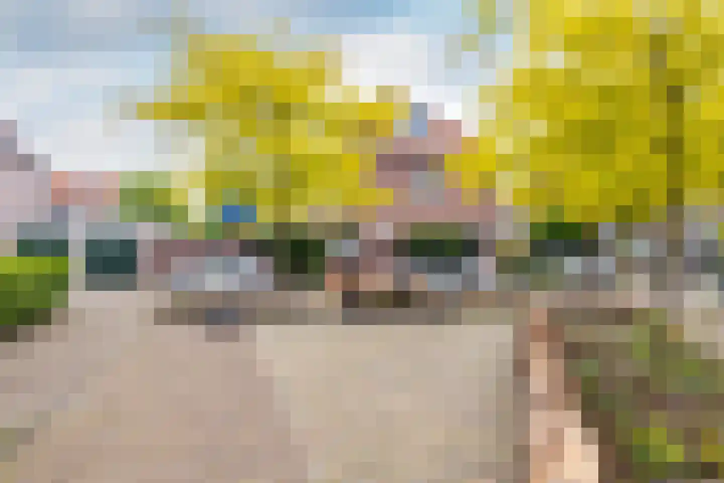 Nachtegaalstraat 15 Breda thumbnail 40