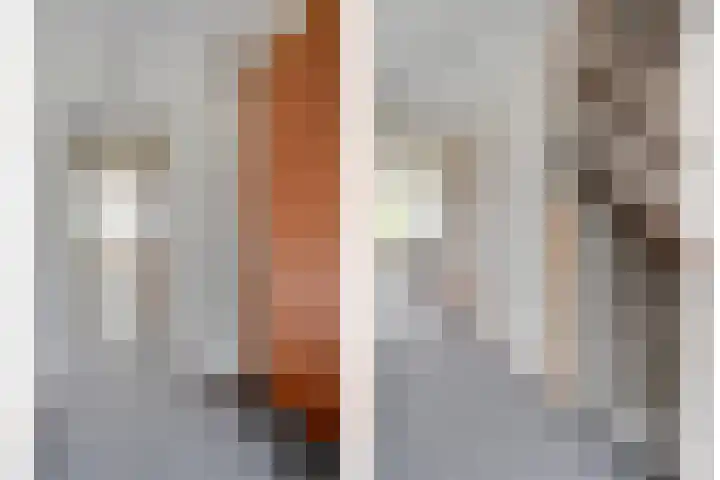 Nachtegaalstraat 15 Hardenberg thumbnail 16