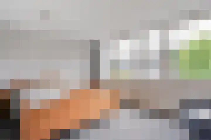 Nachtegaalstraat 15 Hardenberg thumbnail 17