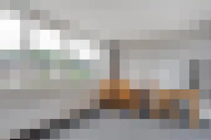 Nachtegaalstraat 15 Hardenberg thumbnail 20