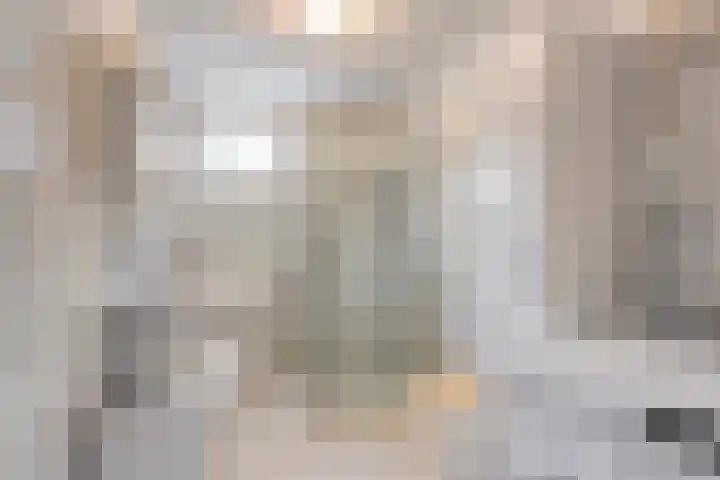 Nachtegaalstraat 15 Hardenberg thumbnail 22