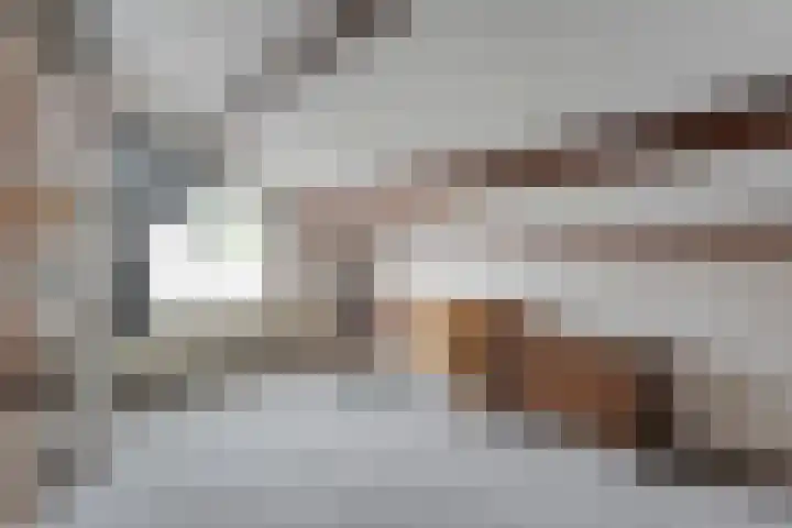 Nachtegaalstraat 15 Hardenberg thumbnail 27