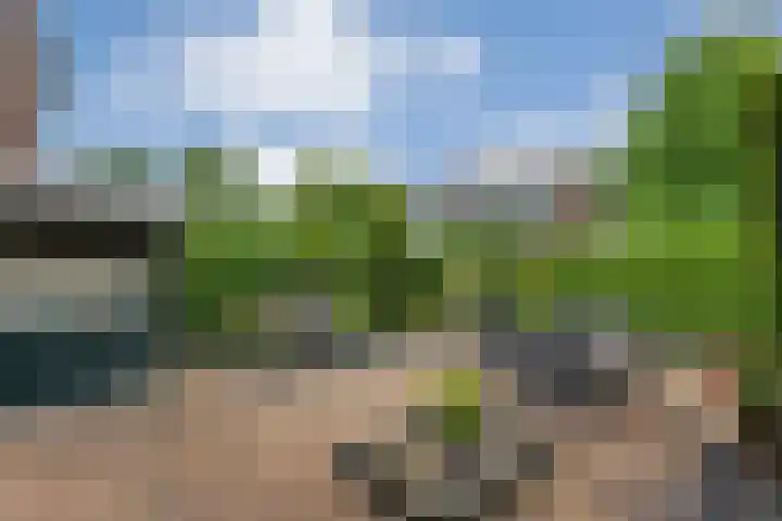 Nachtegaalstraat 15 Hardenberg thumbnail 29