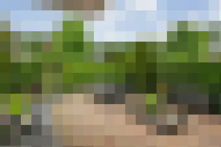 Nachtegaalstraat 15 Hardenberg thumbnail 30