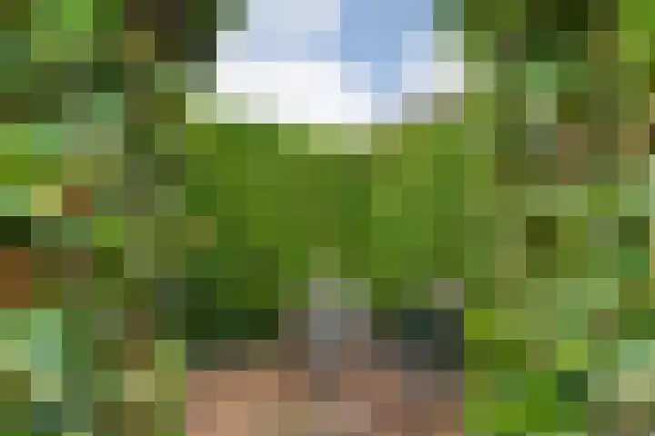 Nachtegaalstraat 15 Hardenberg thumbnail 31