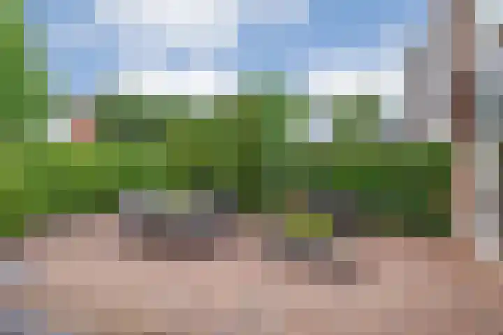 Nachtegaalstraat 15 Hardenberg thumbnail 33