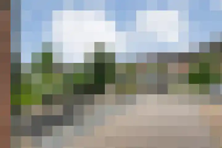 Nachtegaalstraat 15 Hardenberg thumbnail 4