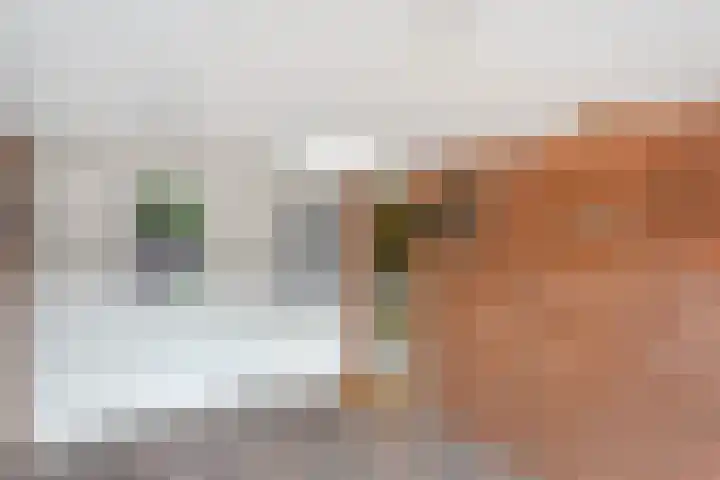 Nachtegaalstraat 15 Hardenberg thumbnail 5