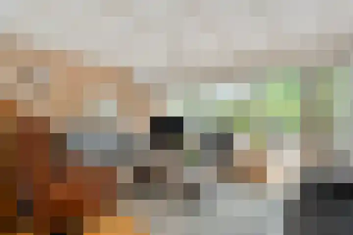Nachtegaalstraat 15 Hardenberg thumbnail 9