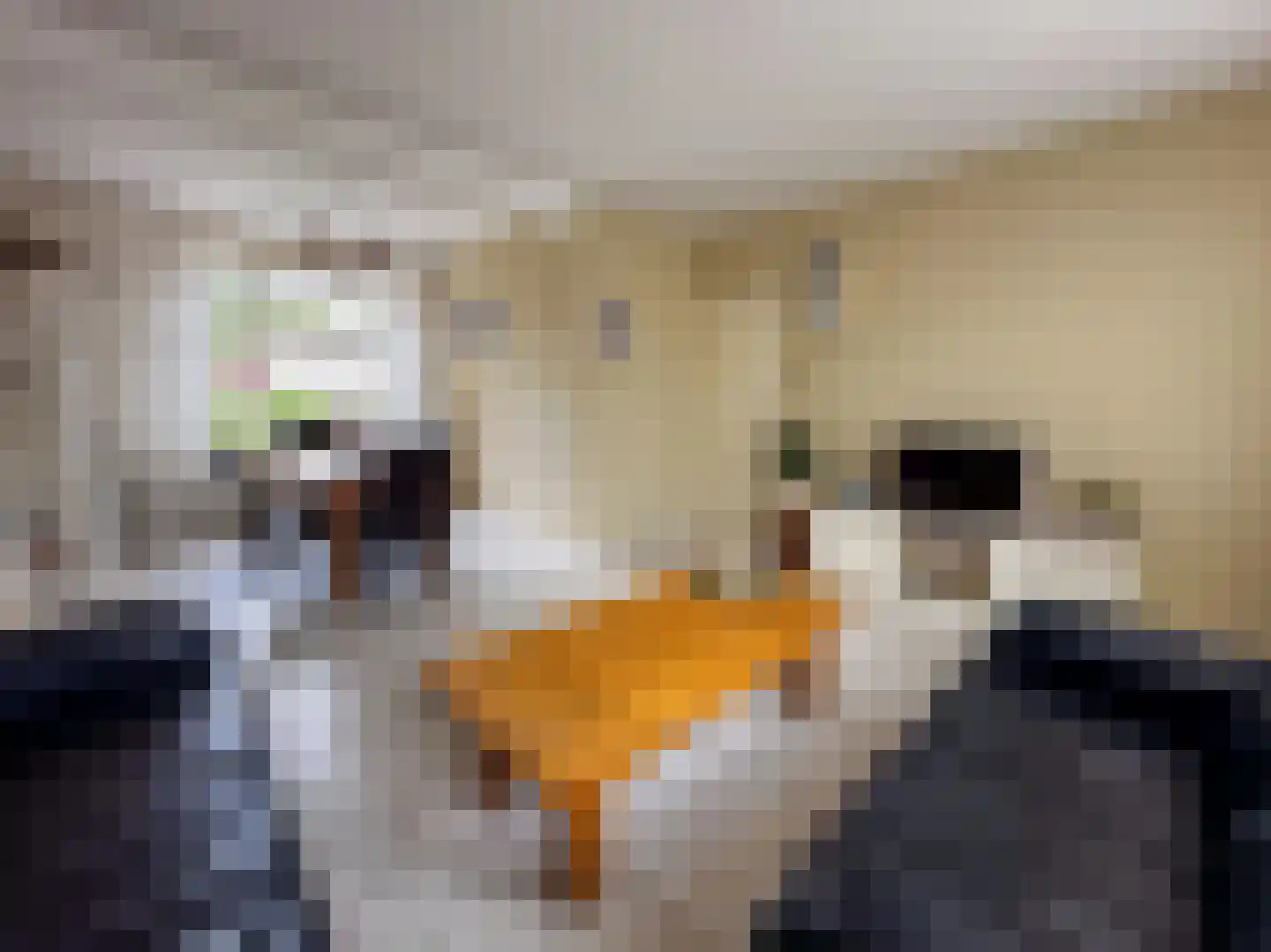 Nachtegaalstraat 15 Zundert thumbnail 14