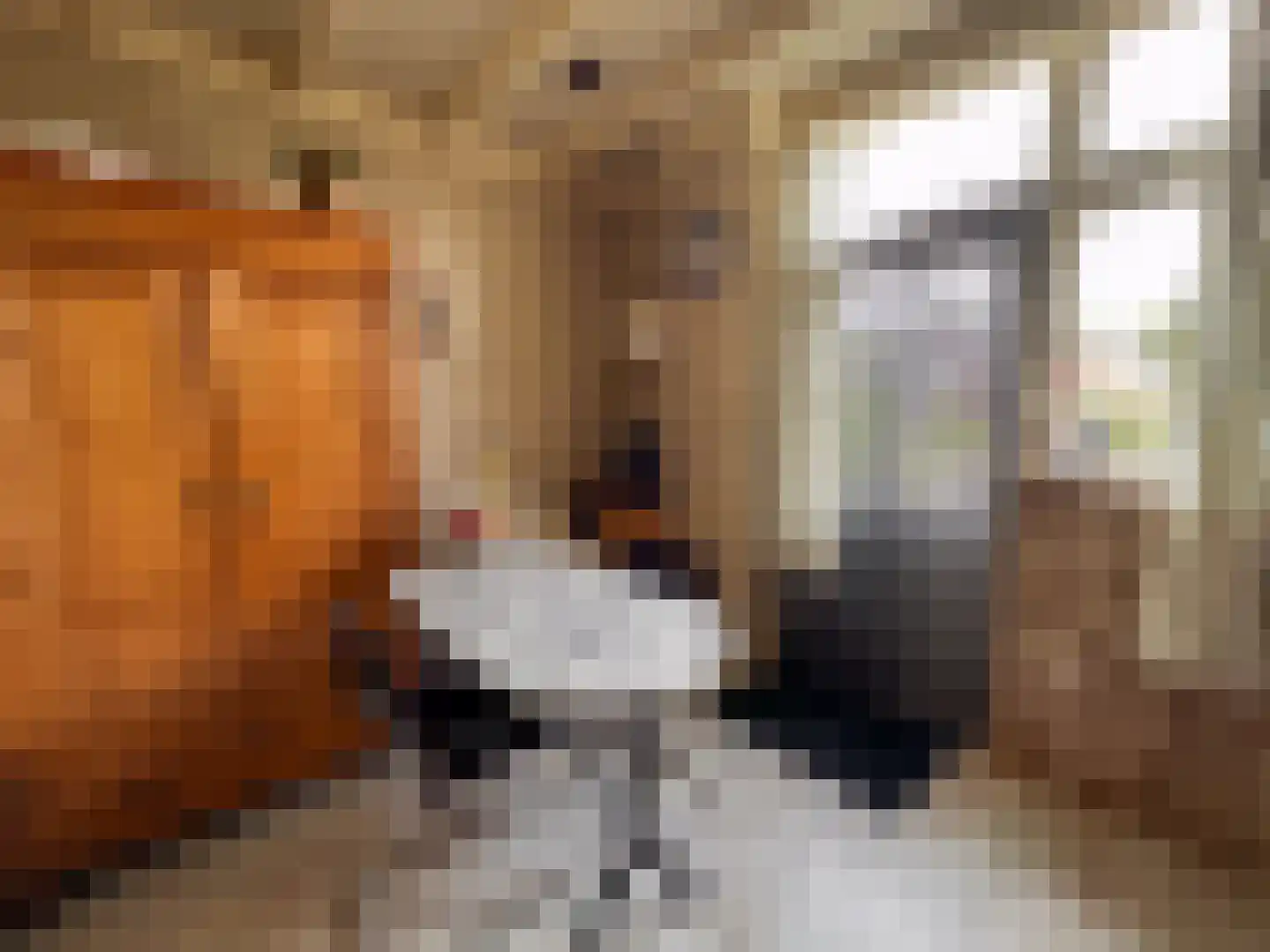 Nachtegaalstraat 15 Zundert thumbnail 20