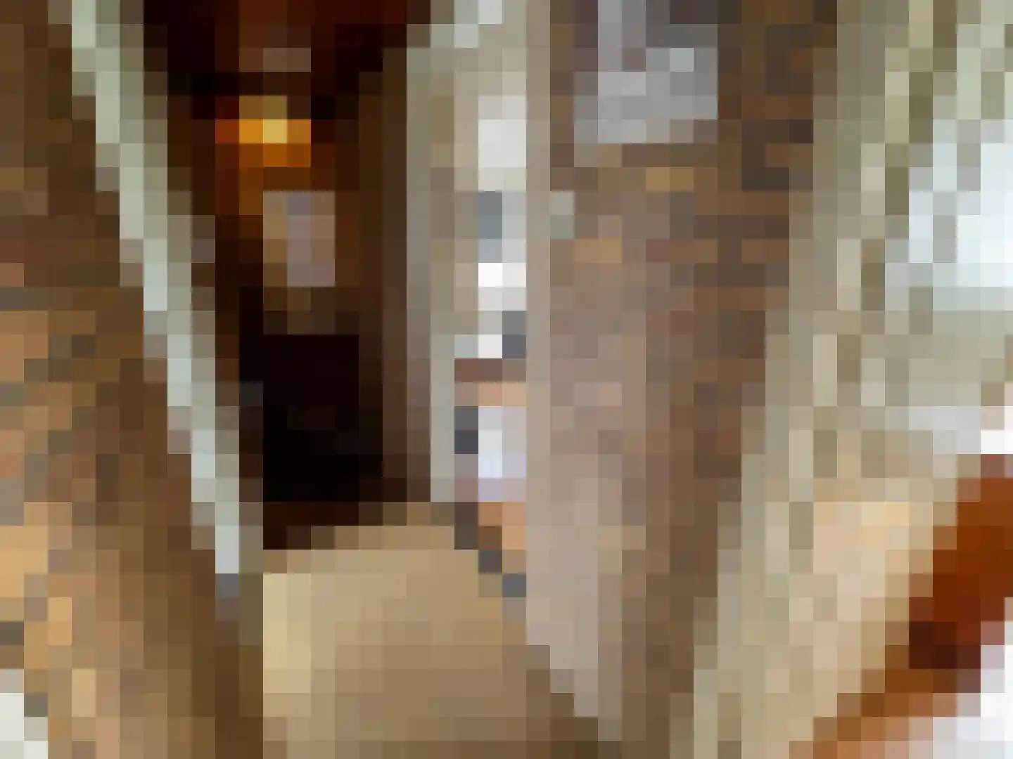Nachtegaalstraat 15 Zundert thumbnail 23