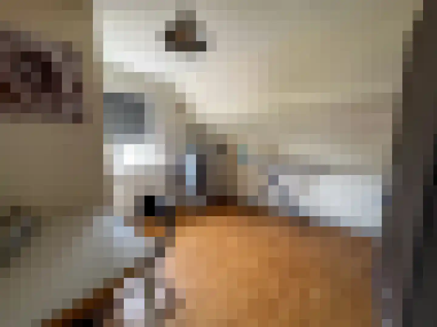 Nachtegaalstraat 15 Zundert thumbnail 30
