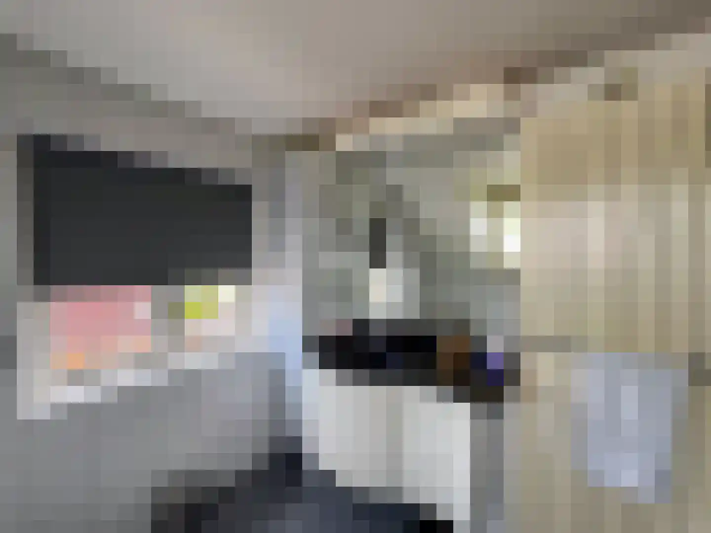 Nachtegaalstraat 15 Zundert thumbnail 34