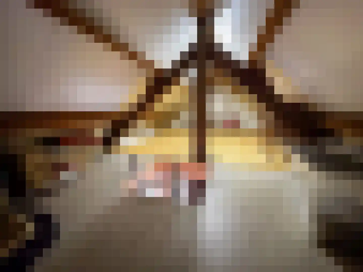 Nachtegaalstraat 15 Zundert thumbnail 35
