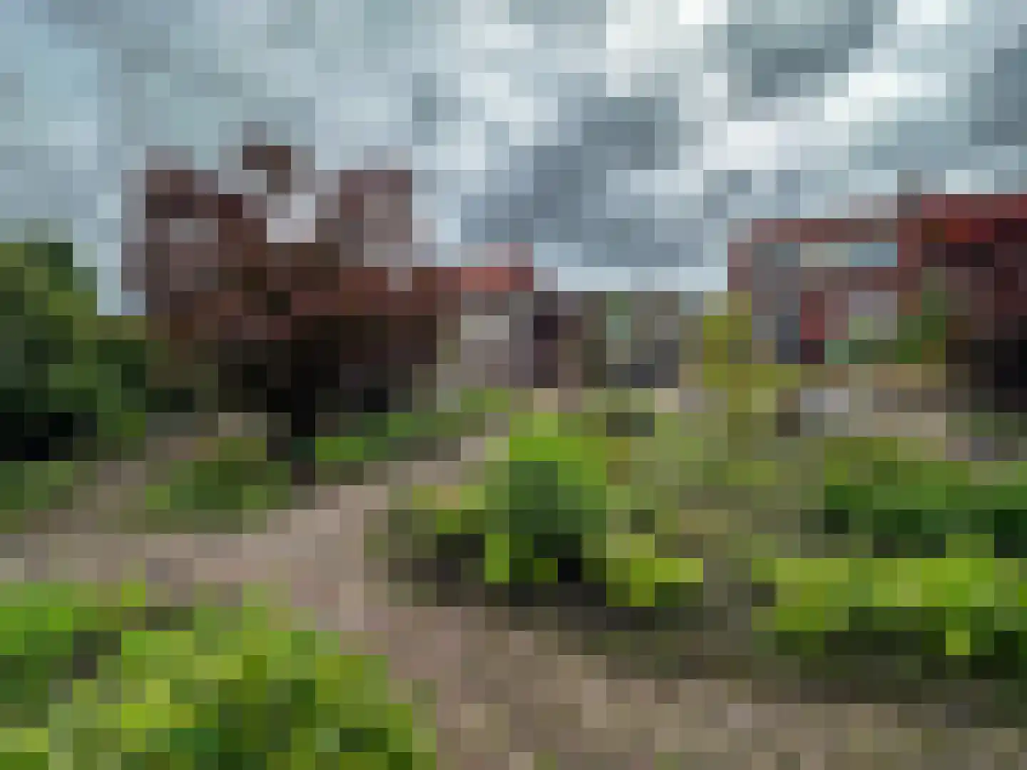 Nachtegaalstraat 15 Zundert thumbnail 4