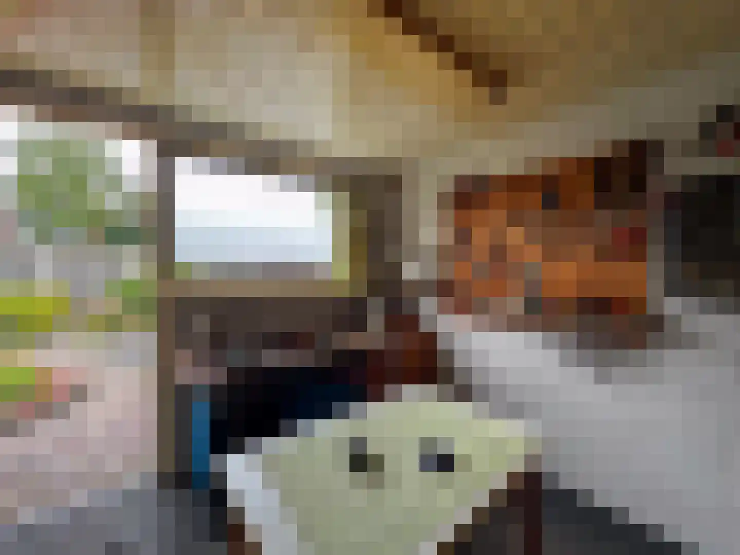 Nachtegaalstraat 15 Zundert thumbnail 42
