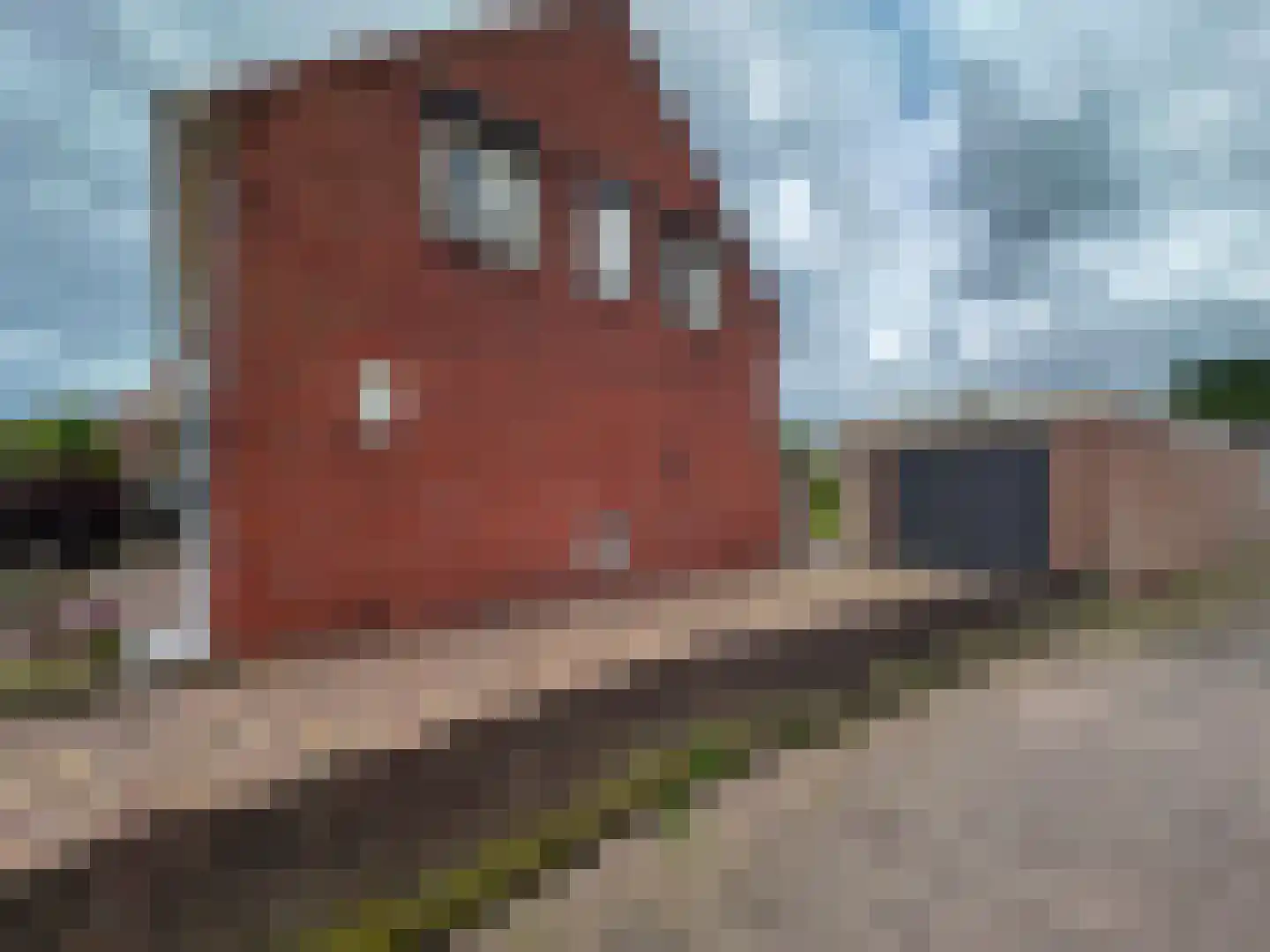 Nachtegaalstraat 15 Zundert thumbnail 45