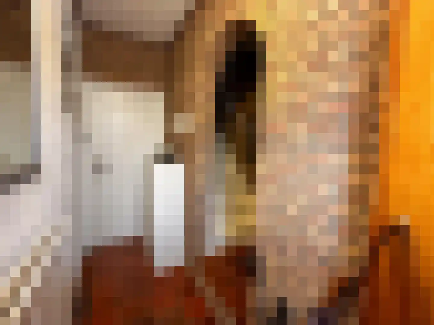 Nachtegaalstraat 15 Zundert thumbnail 8
