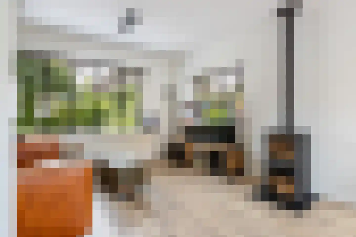 Nachtegaalstraat 16 Haastrecht thumbnail 13