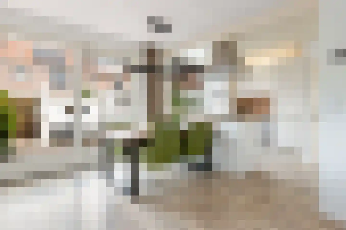 Nachtegaalstraat 16 Haastrecht thumbnail 17