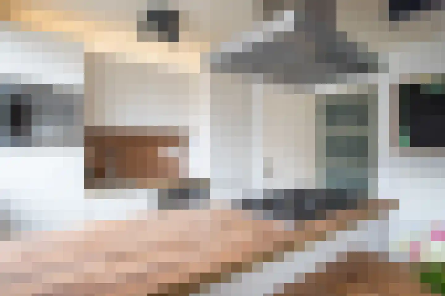 Nachtegaalstraat 16 Haastrecht thumbnail 21