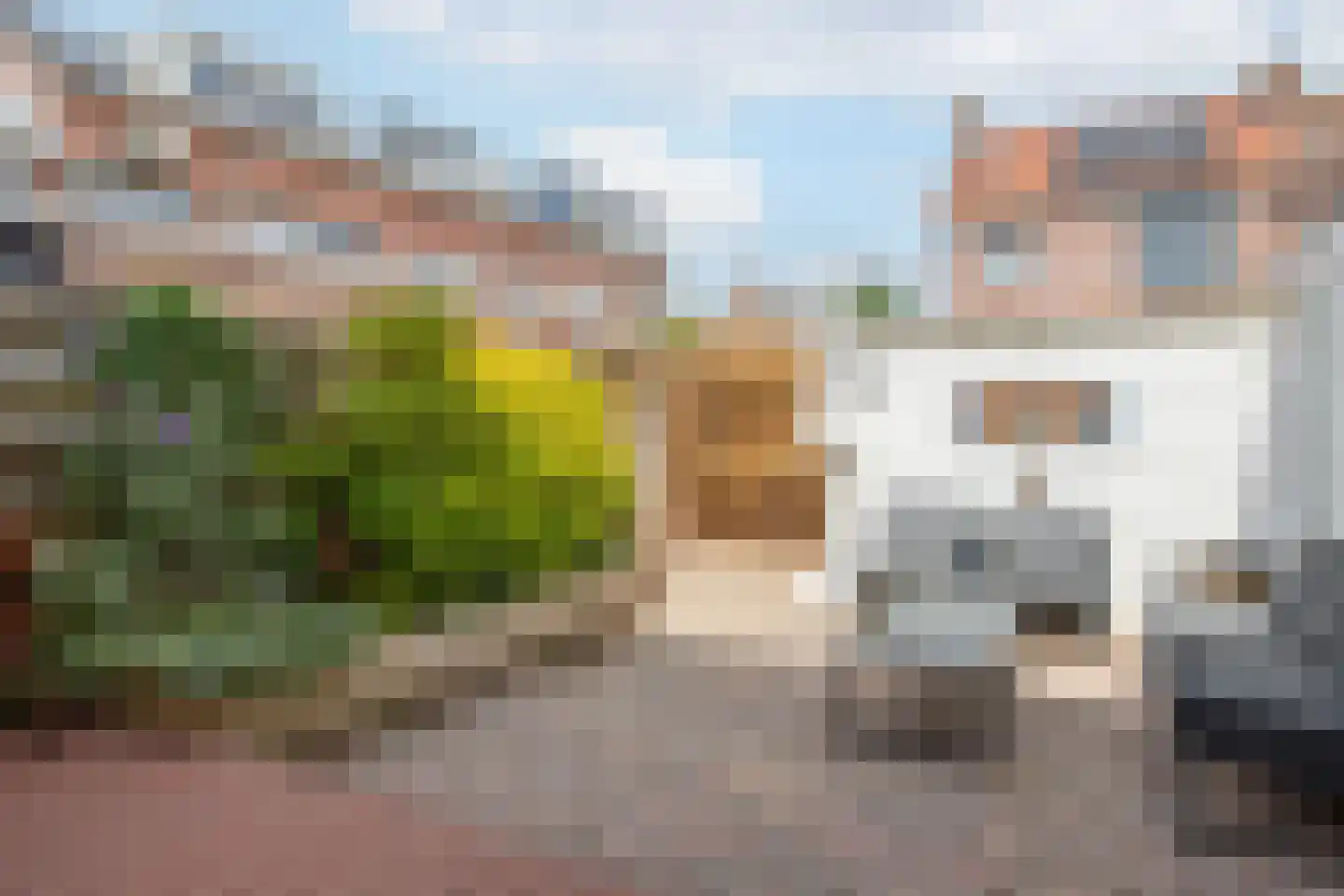 Nachtegaalstraat 16 Haastrecht thumbnail 48
