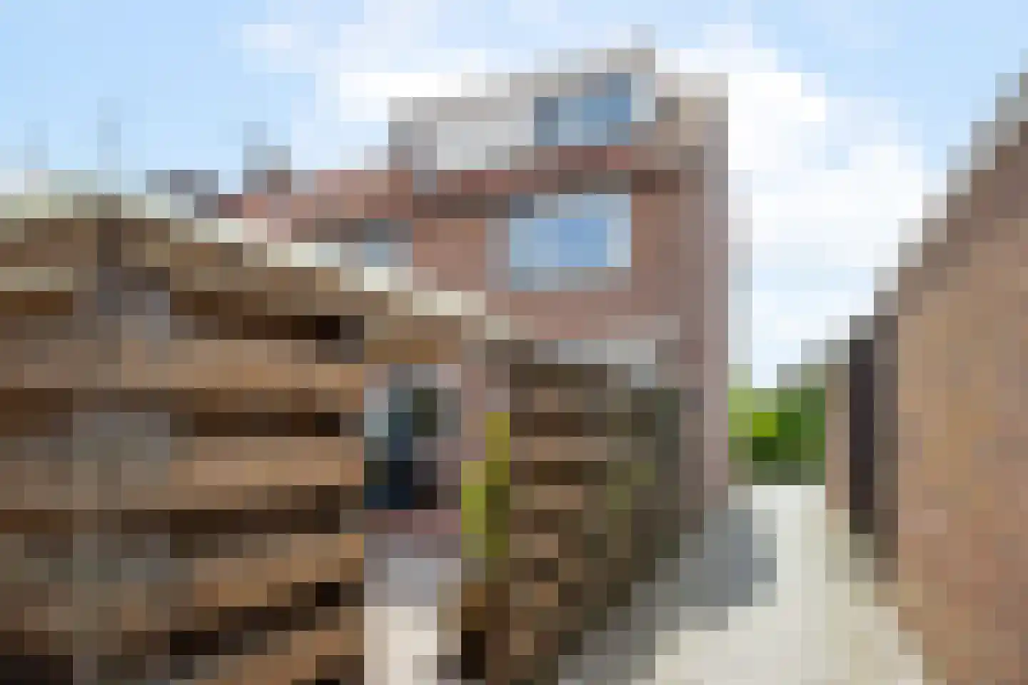 Nachtegaalstraat 16 Haastrecht thumbnail 51