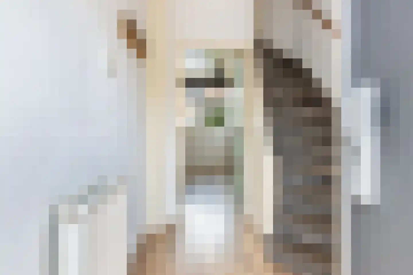 Nachtegaalstraat 16 Haastrecht thumbnail 9