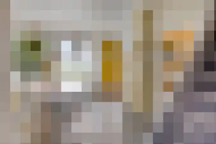 Nachtegaalstraat 16 Heerlen thumbnail 10
