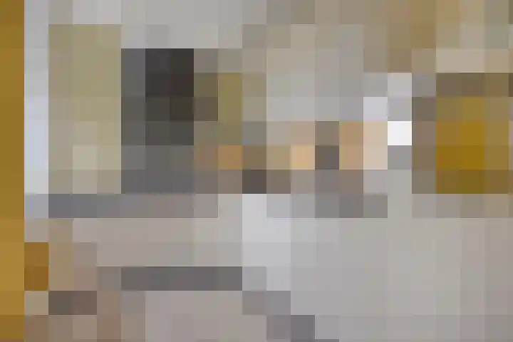 Nachtegaalstraat 16 Heerlen thumbnail 12