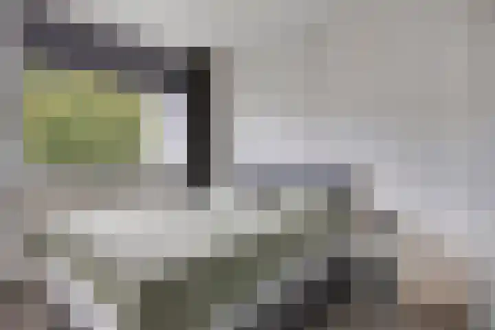 Nachtegaalstraat 16 Heerlen thumbnail 15