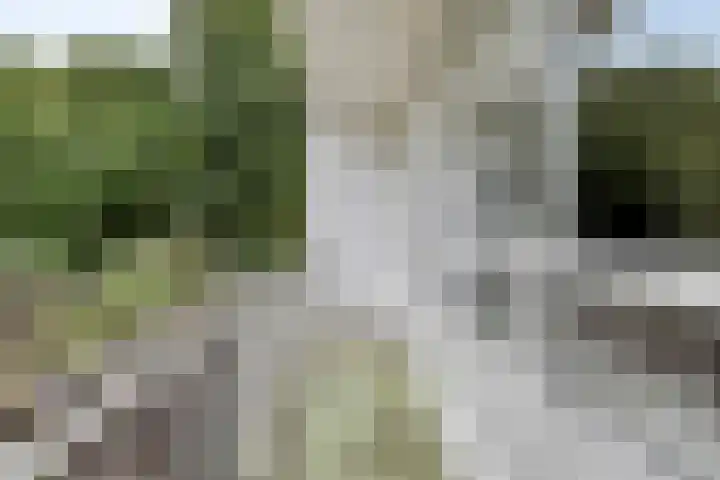 Nachtegaalstraat 16 Heerlen thumbnail 19