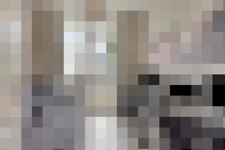 Nachtegaalstraat 16 Heerlen thumbnail 23