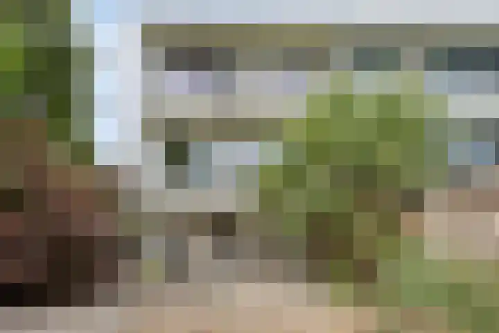 Nachtegaalstraat 16 Heerlen thumbnail 25