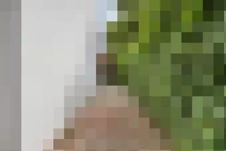 Nachtegaalstraat 16 Heerlen thumbnail 28