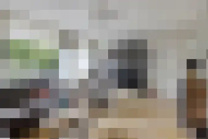 Nachtegaalstraat 16 Heerlen thumbnail 5