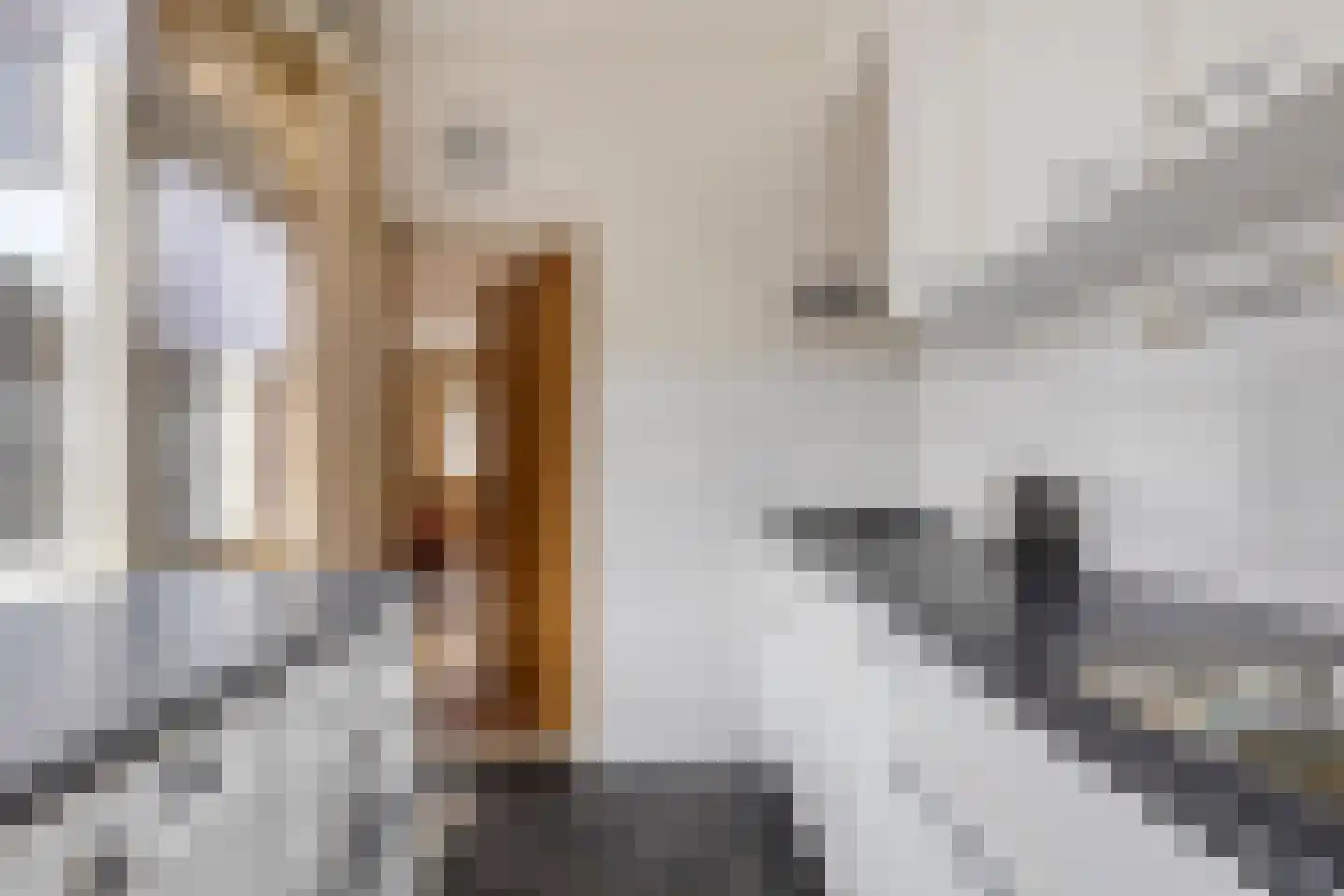 Nachtegaalstraat 17 Breda thumbnail 11