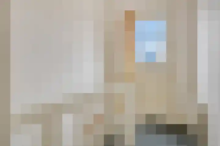 Nachtegaalstraat 17 Breda thumbnail 17